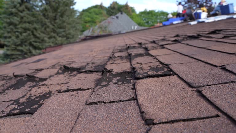 Best Steel Roofing  in Union, MO